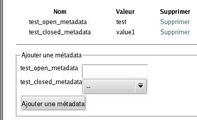 Metadata view